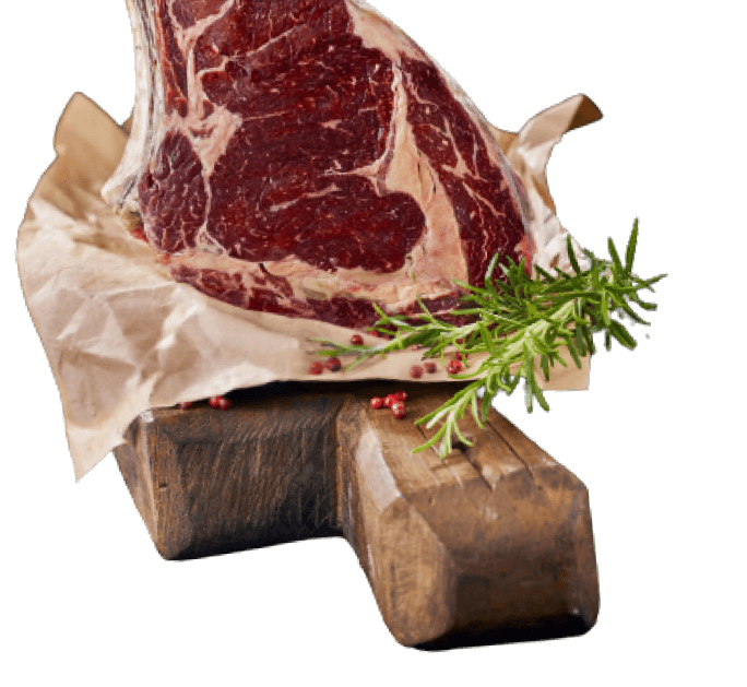 Taglio frisona Holstein Olandese